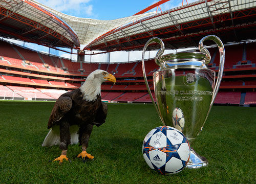 帕瓦尔：我之前运气不太好；达里尔-巴科拉非常有天赋（帕瓦尔：此前运气欠佳，达里尔-巴科拉天赋出众）